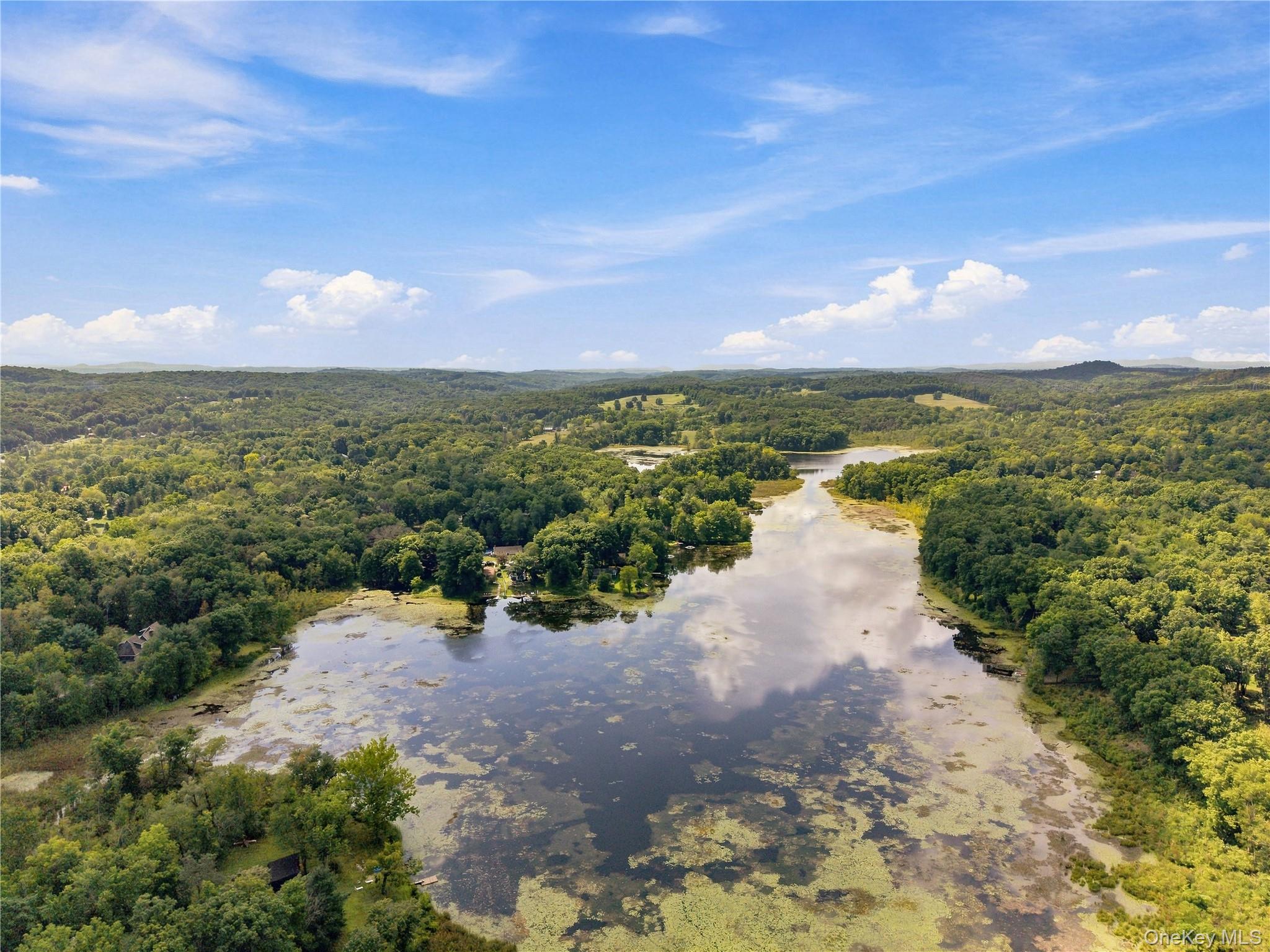 Pond