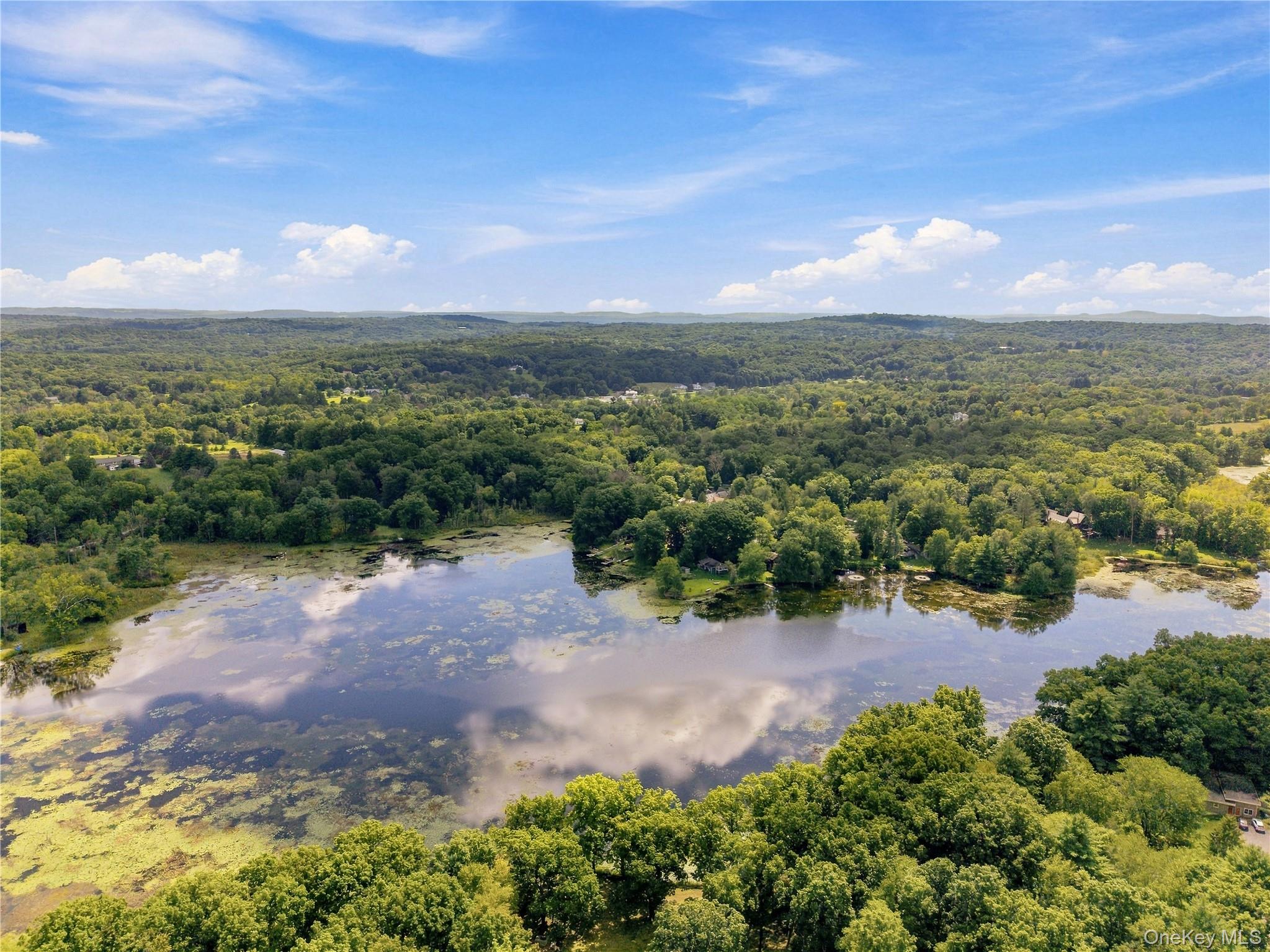 Pond