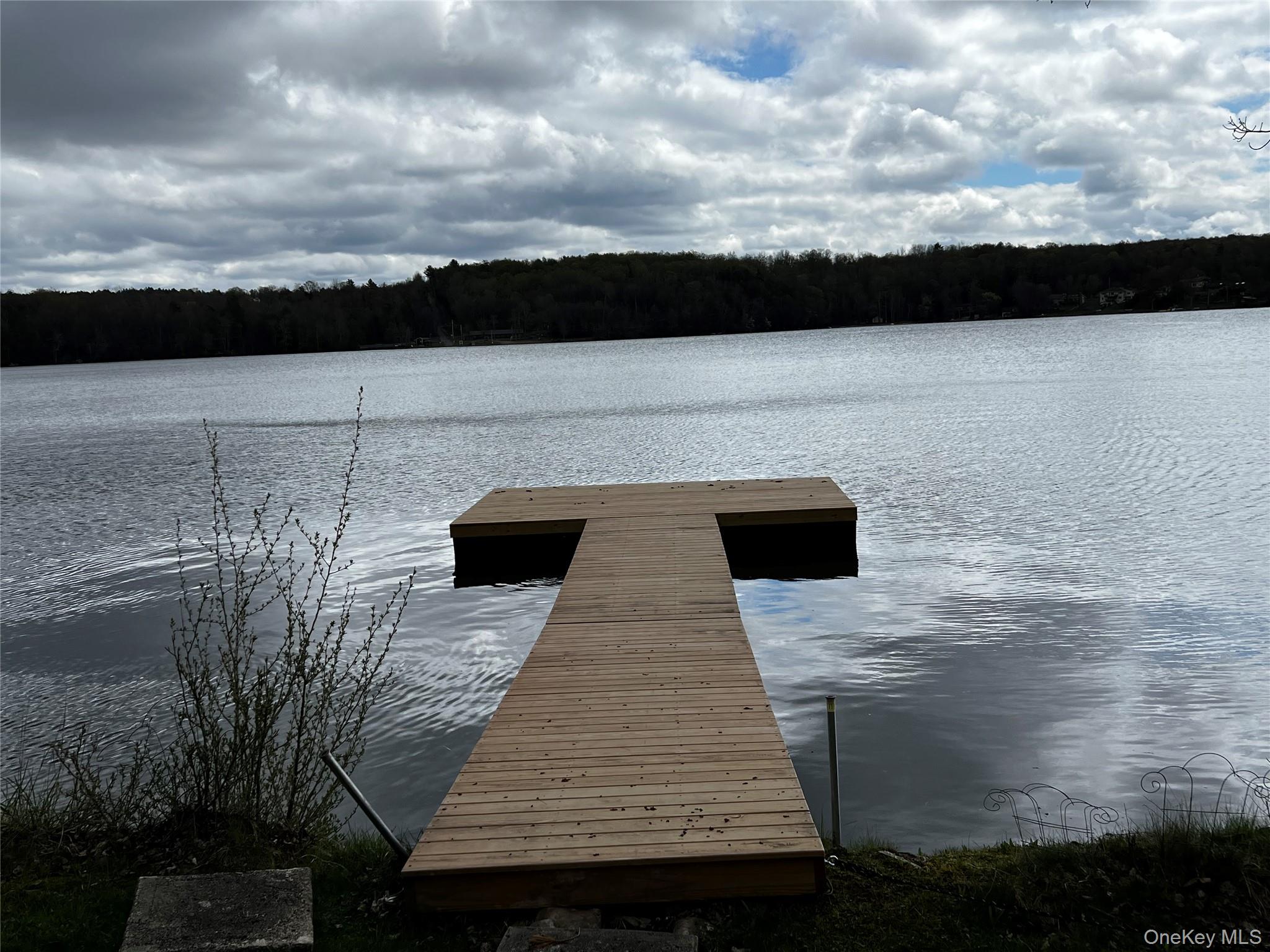 Dock