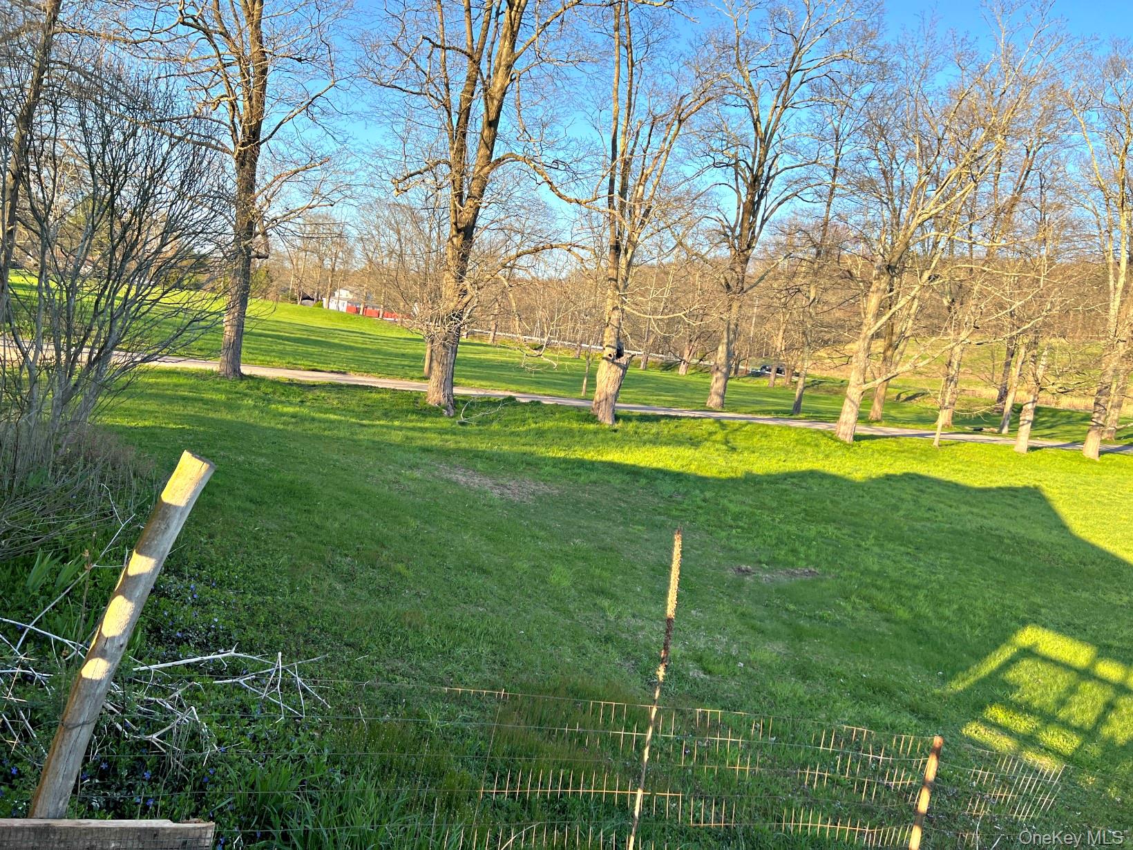 Yard