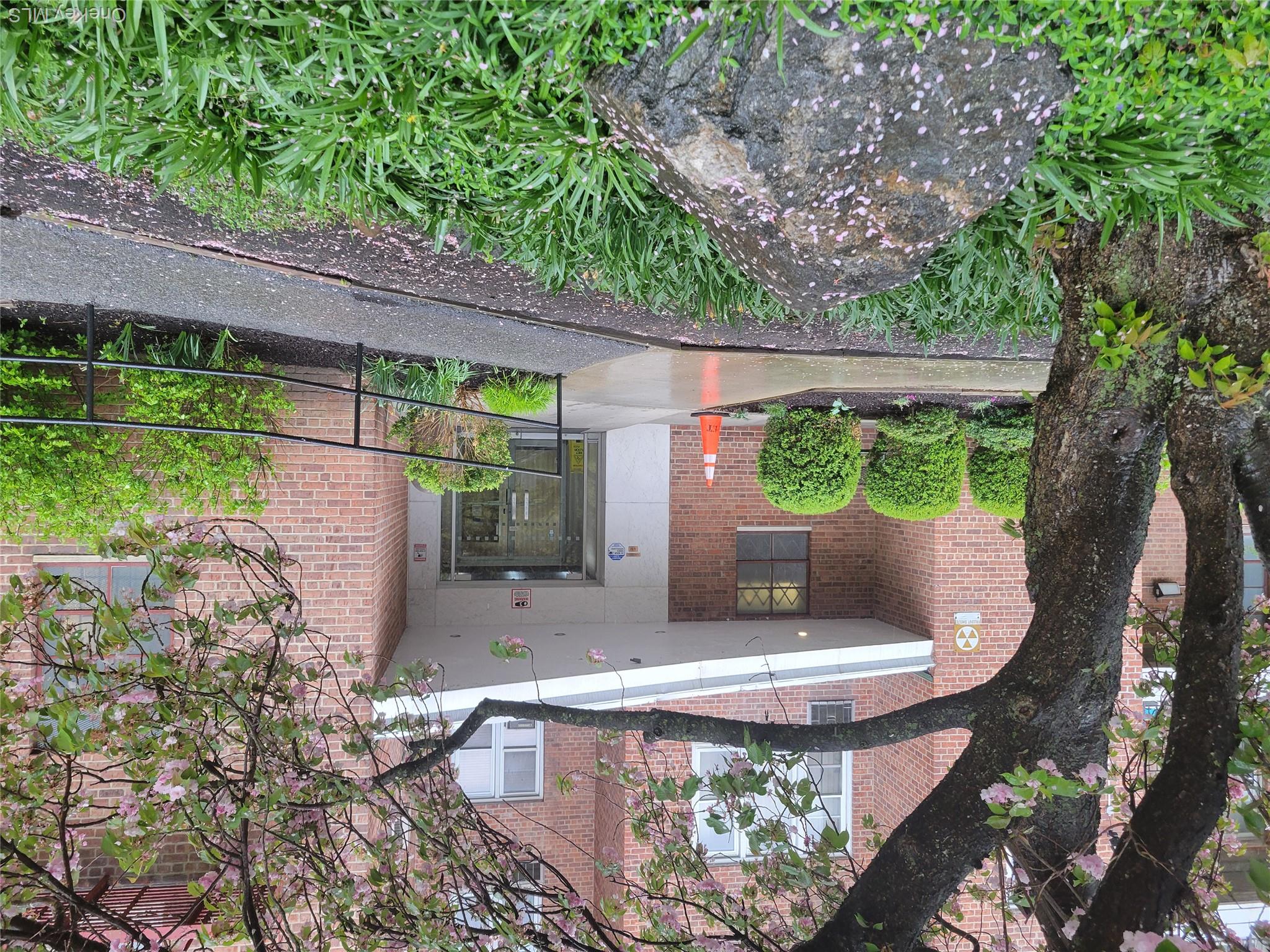 245 Rumsey Road