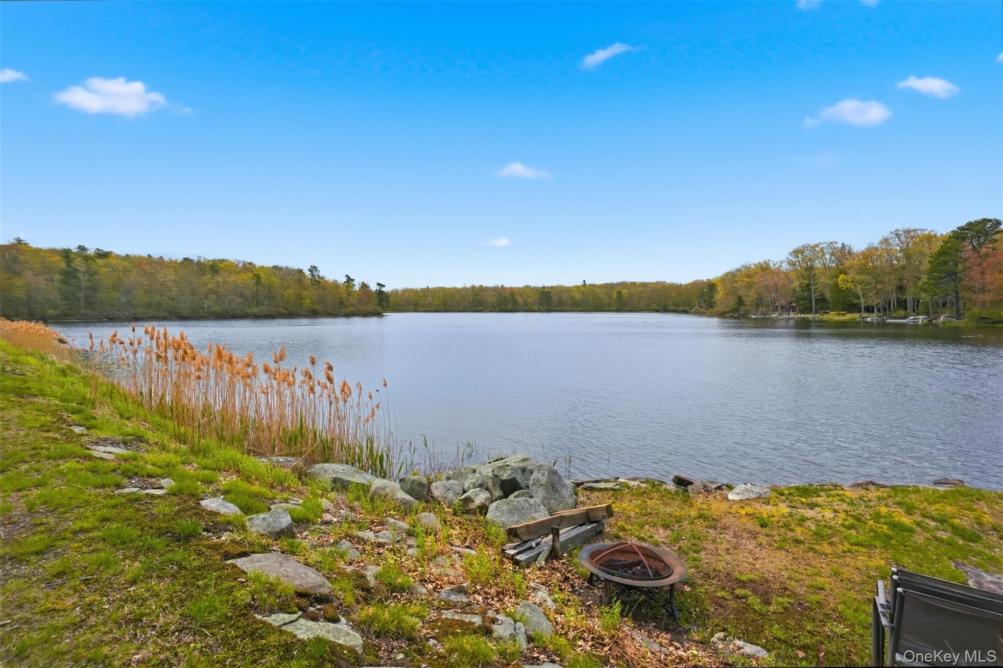 Pond