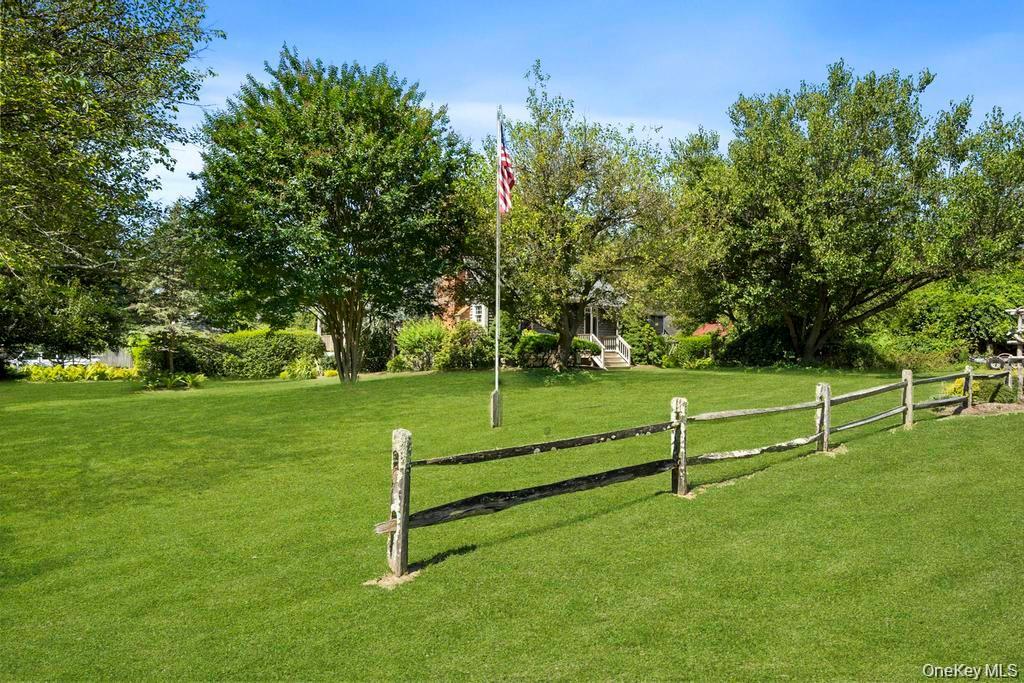 Yard