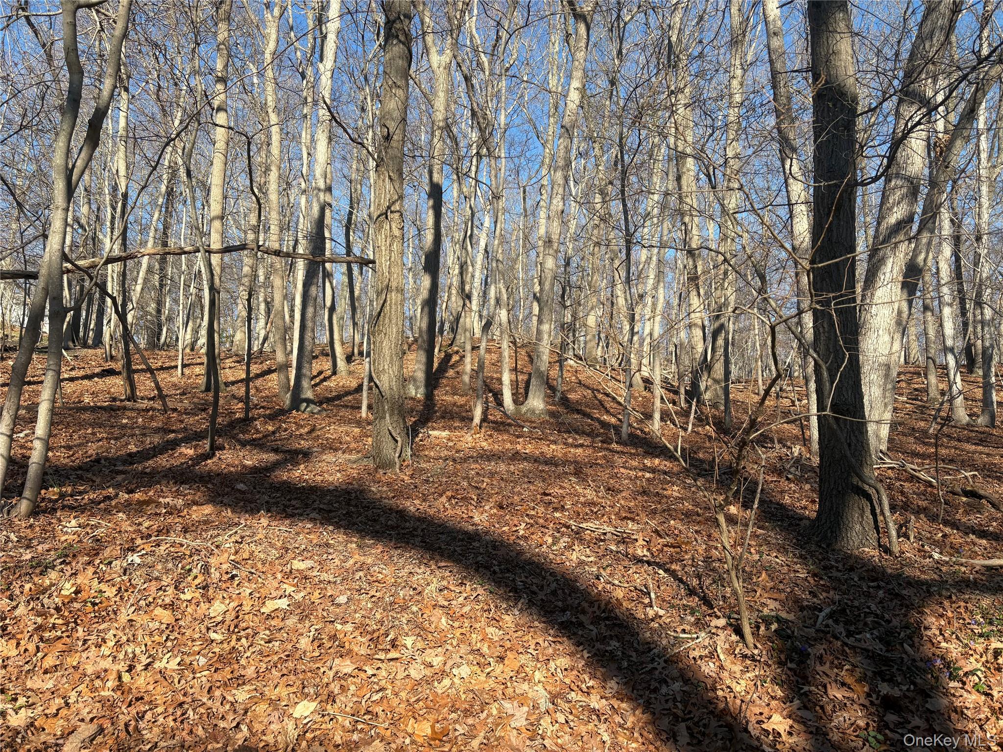Woodhull Landing