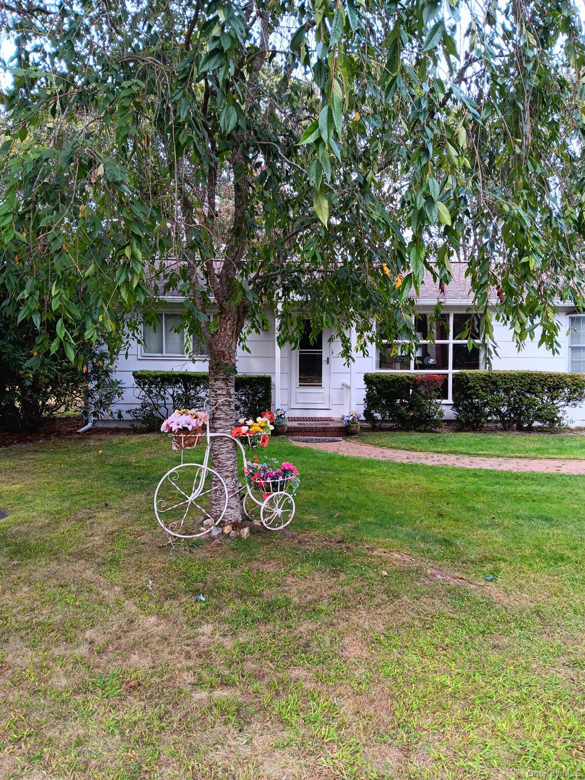 17 Kyle Road