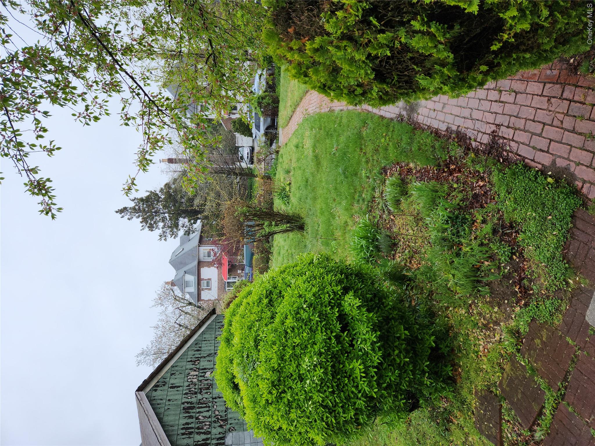 Yard
