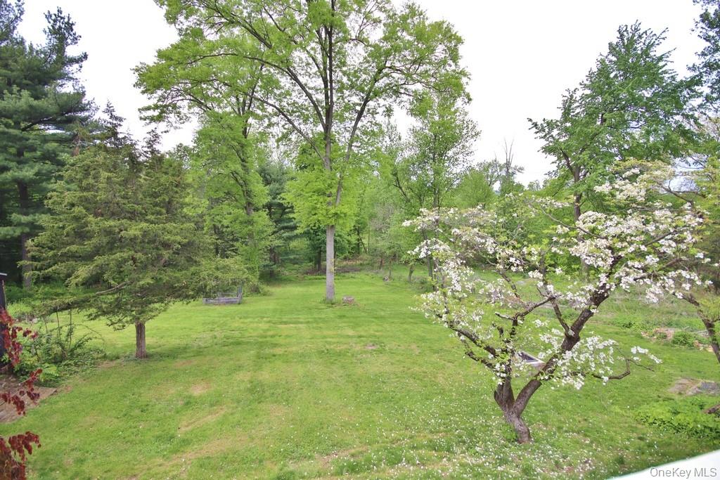 Yard