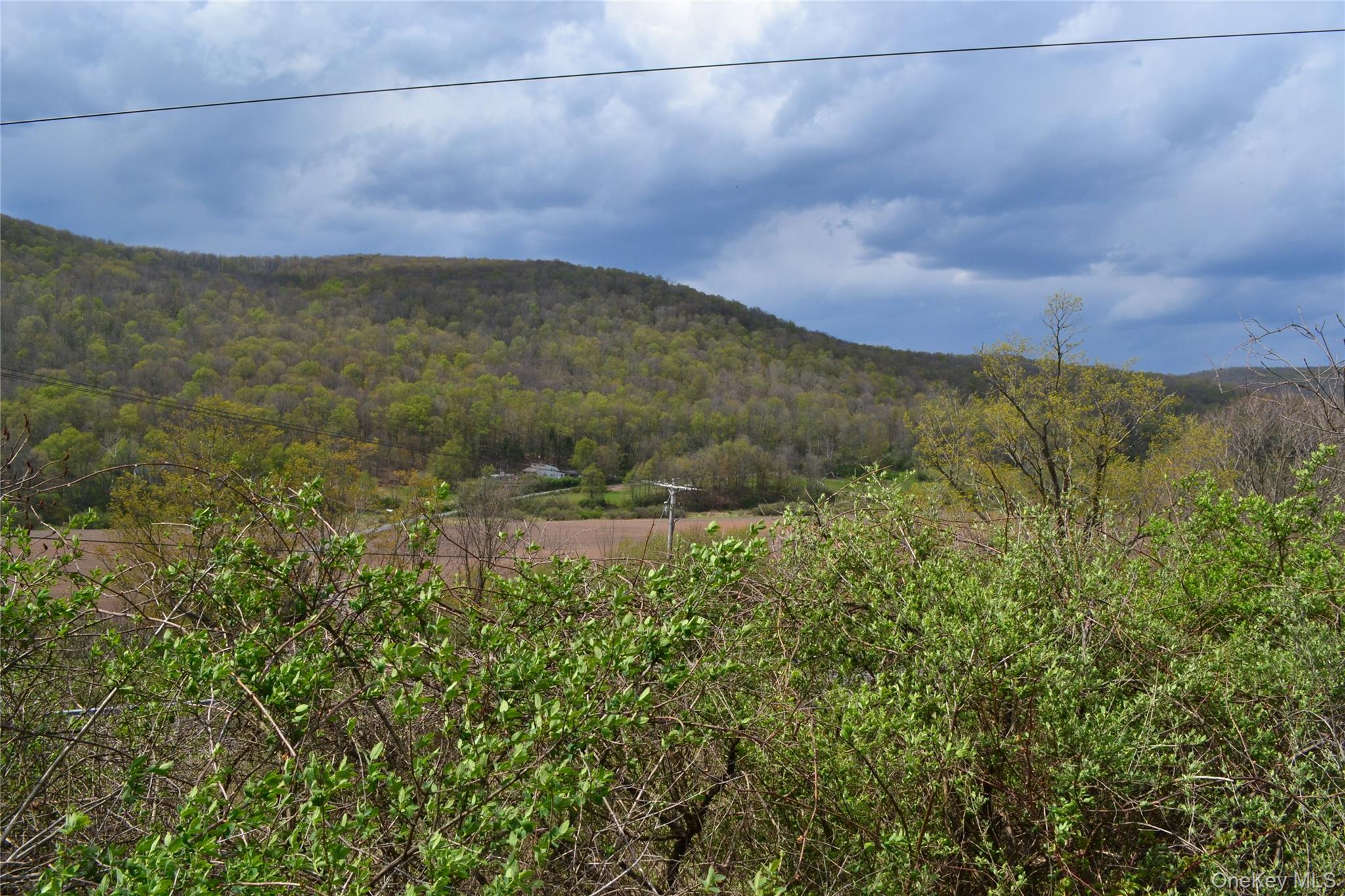 Photo 32