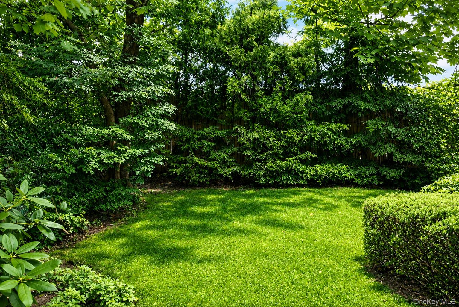 Yard
