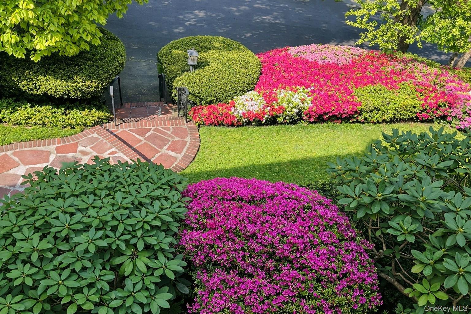 Yard