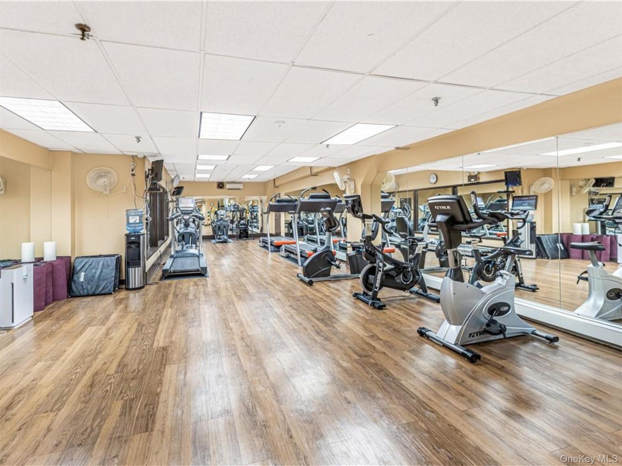 Gym
