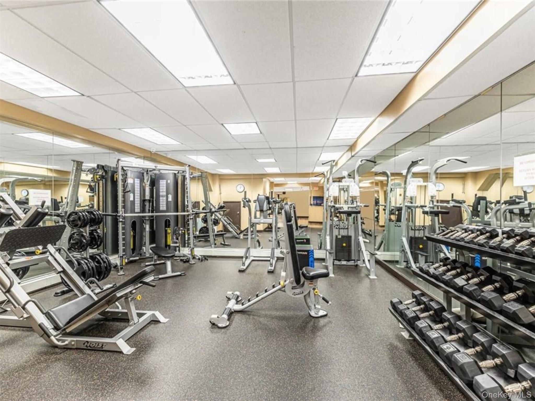 Gym
