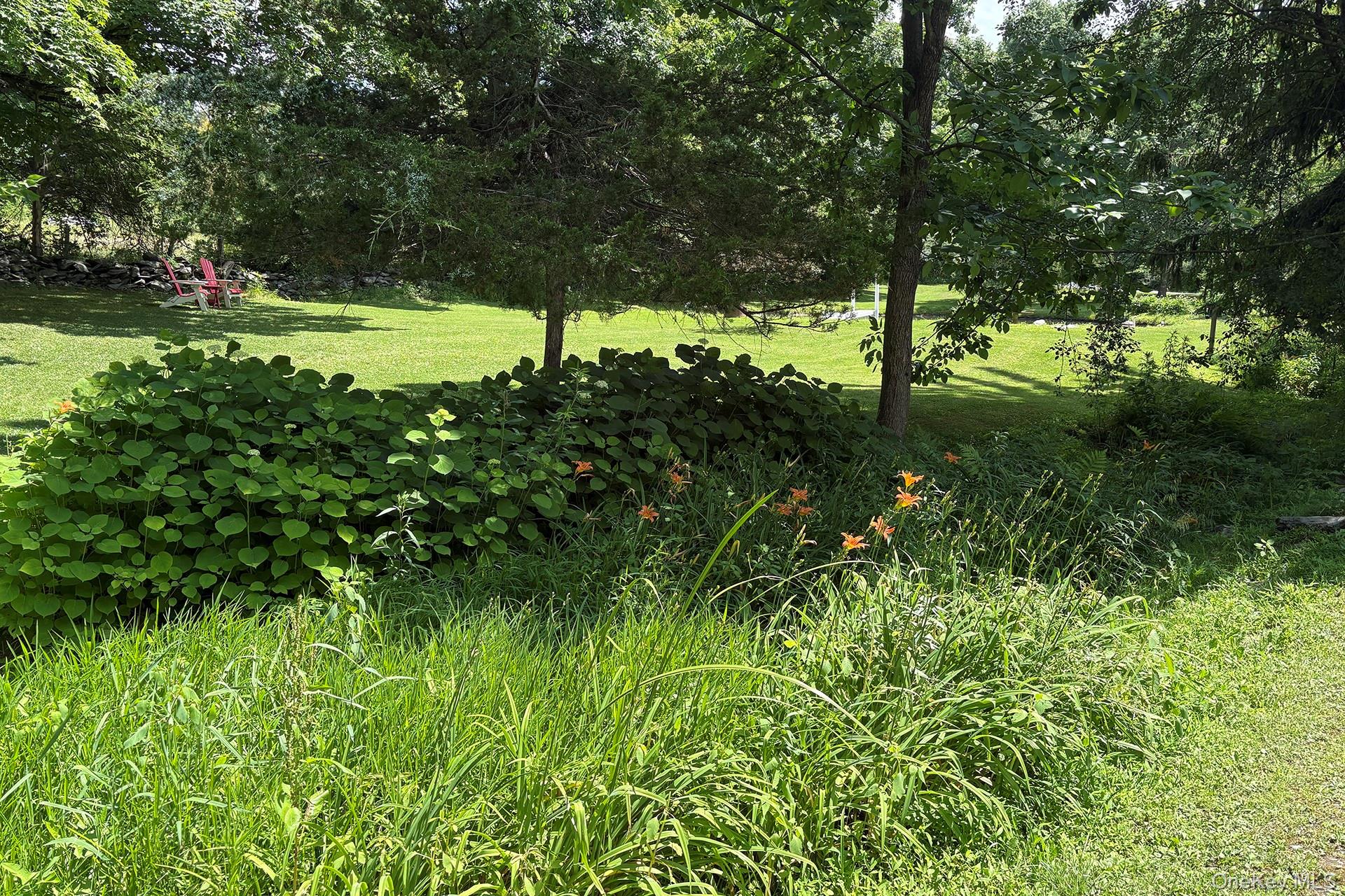 Photo 40
