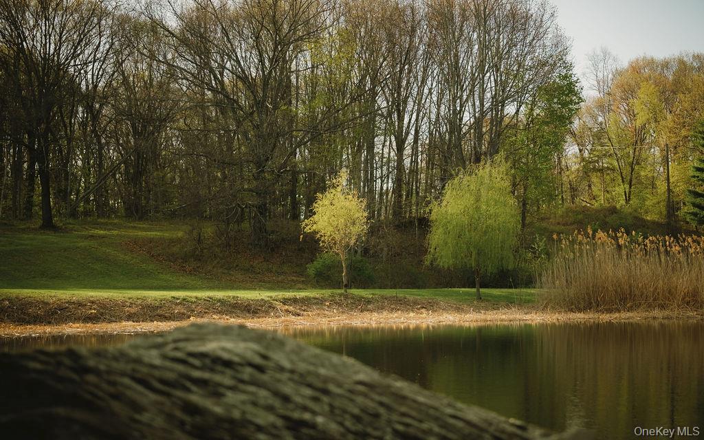 Pond