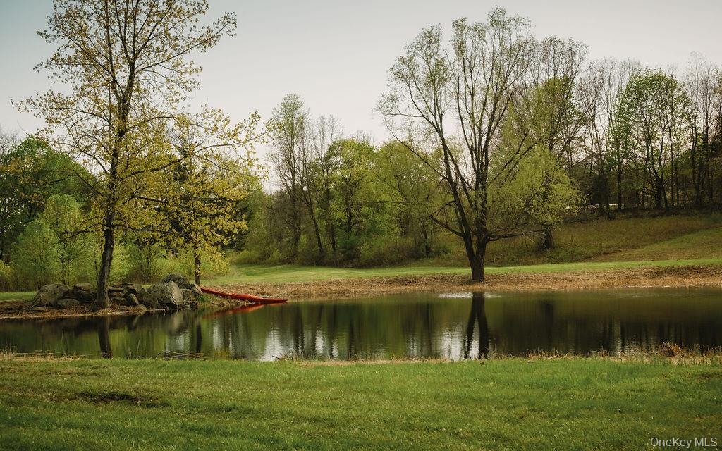 Pond