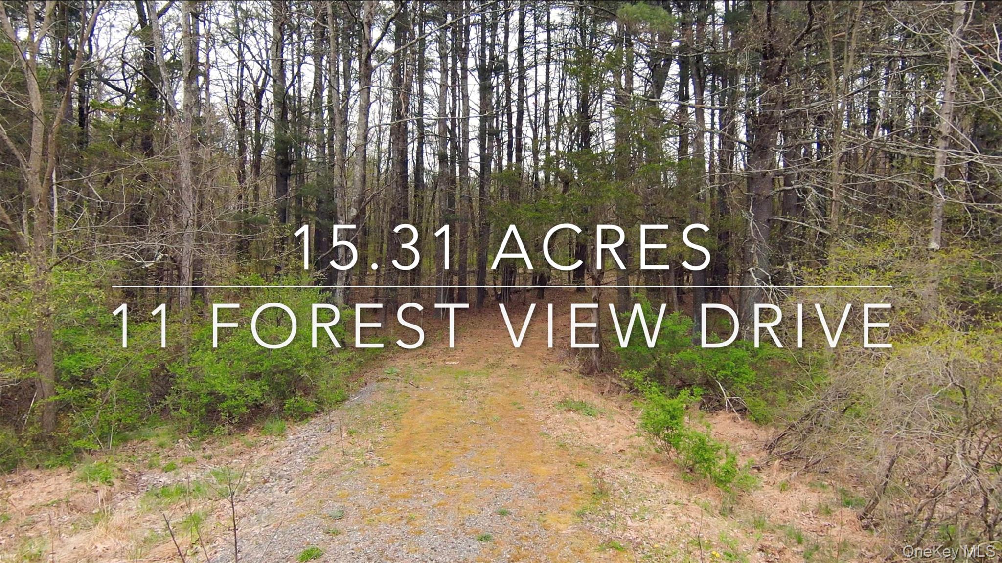 11 Forest View Drive