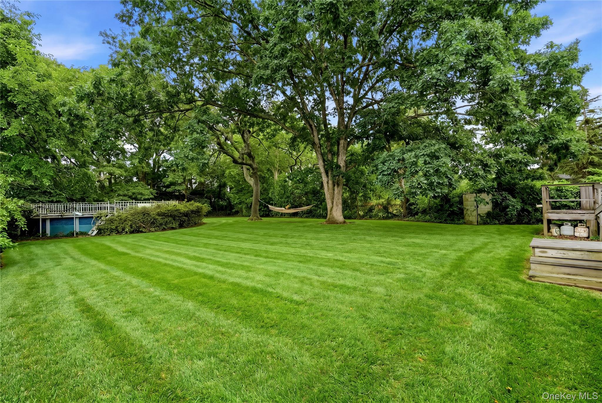 Yard