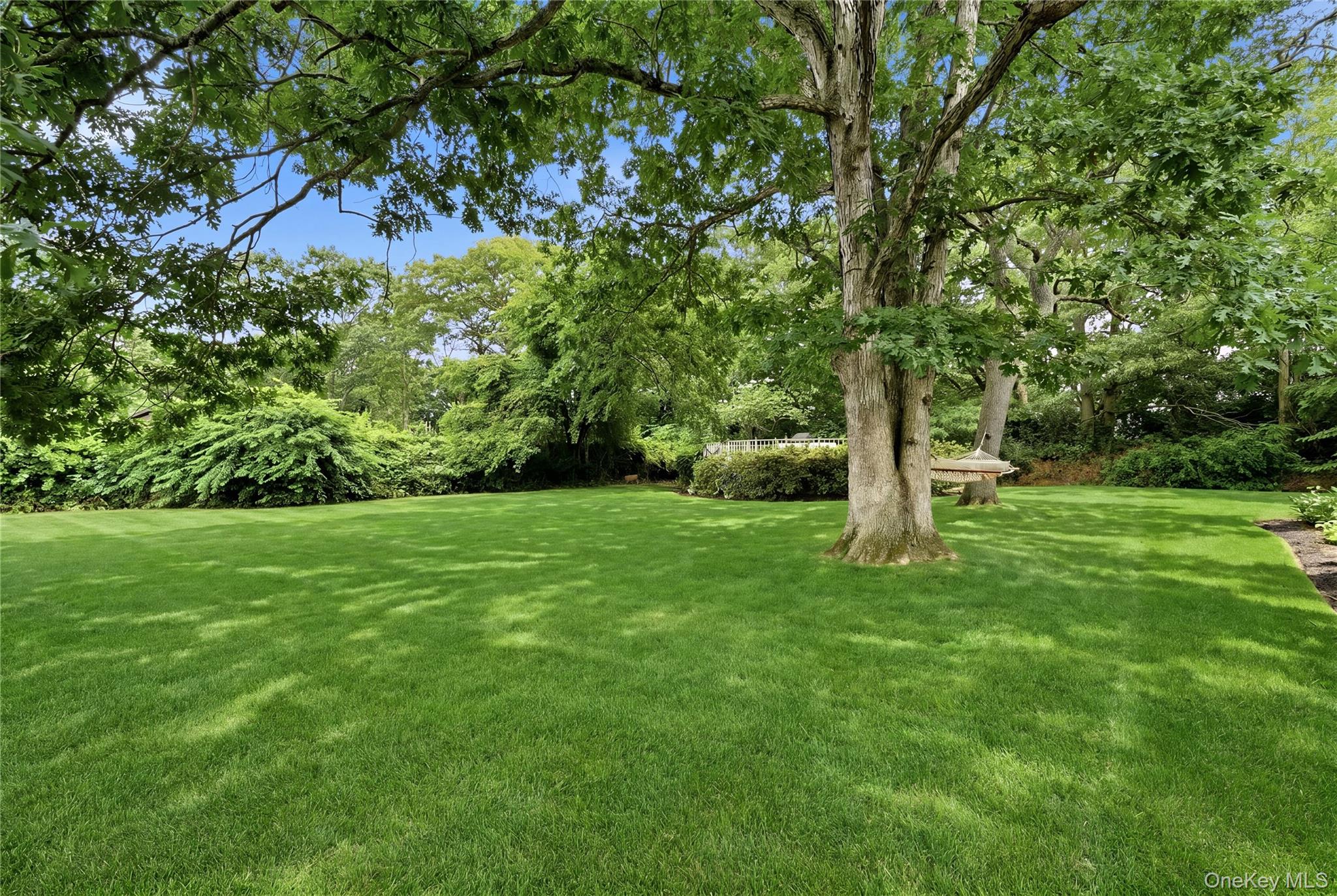 Yard