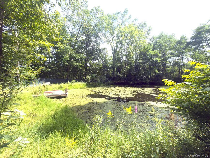 Photo 45