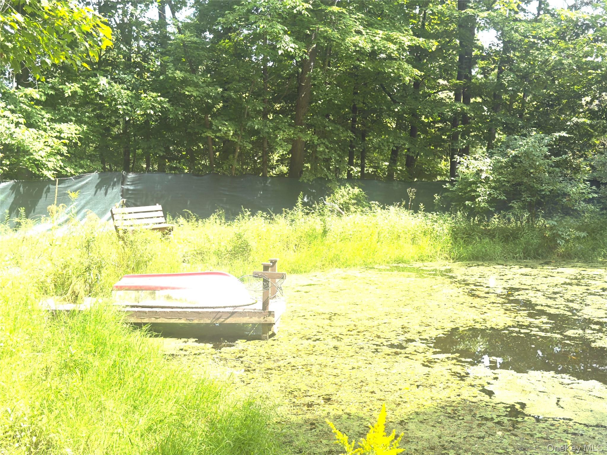 Photo 48