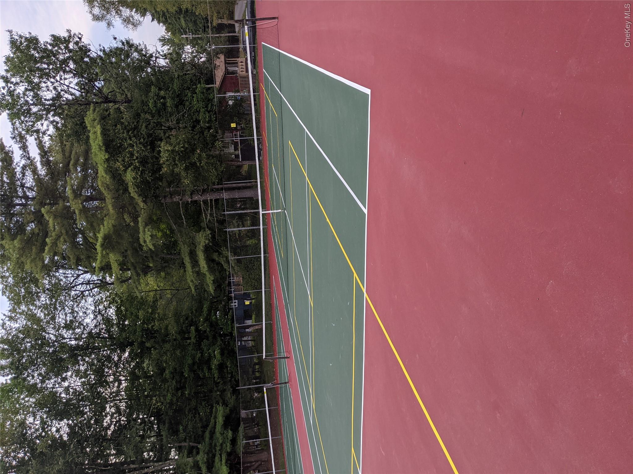 Photo 42