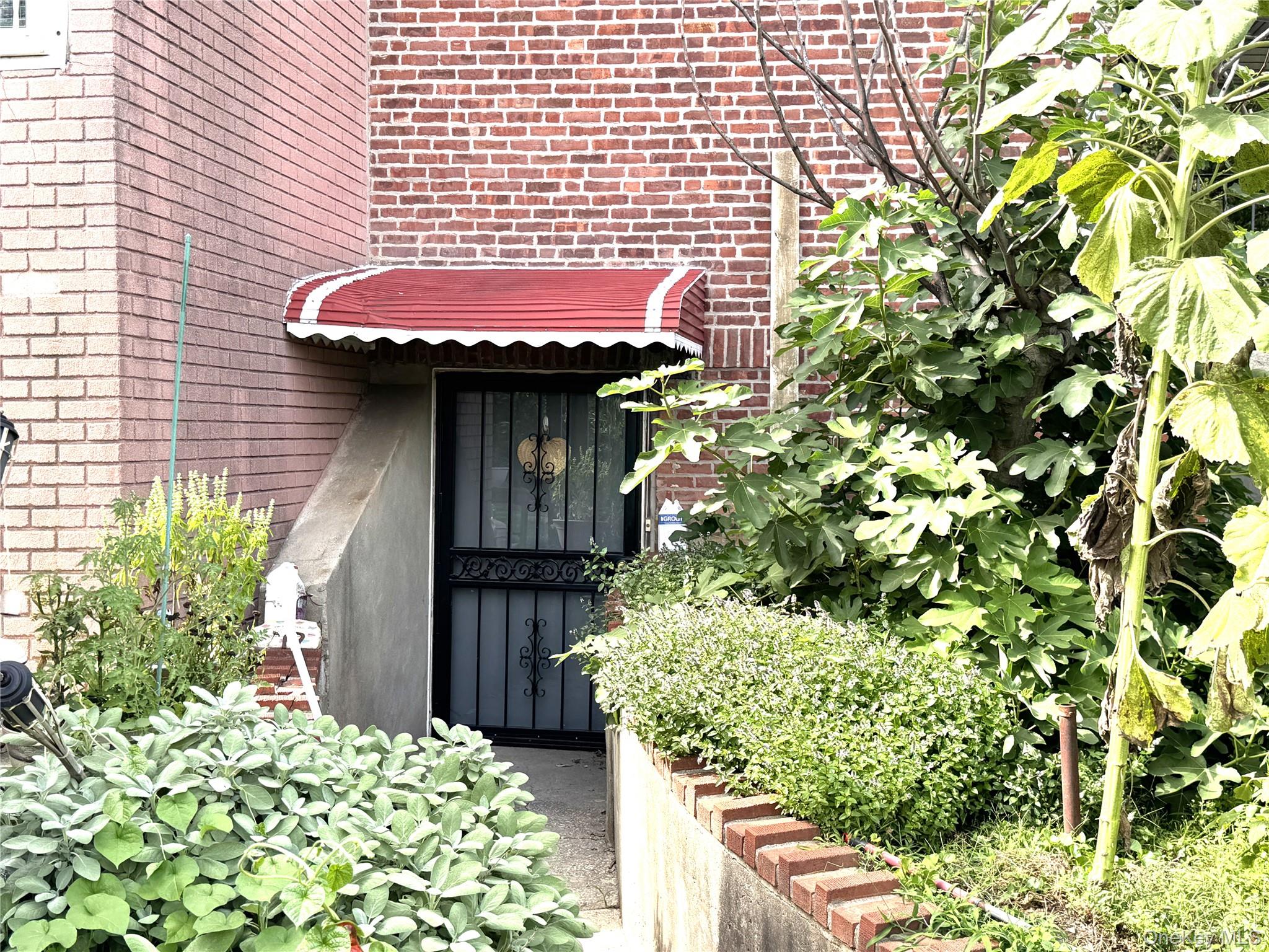 Photo 43