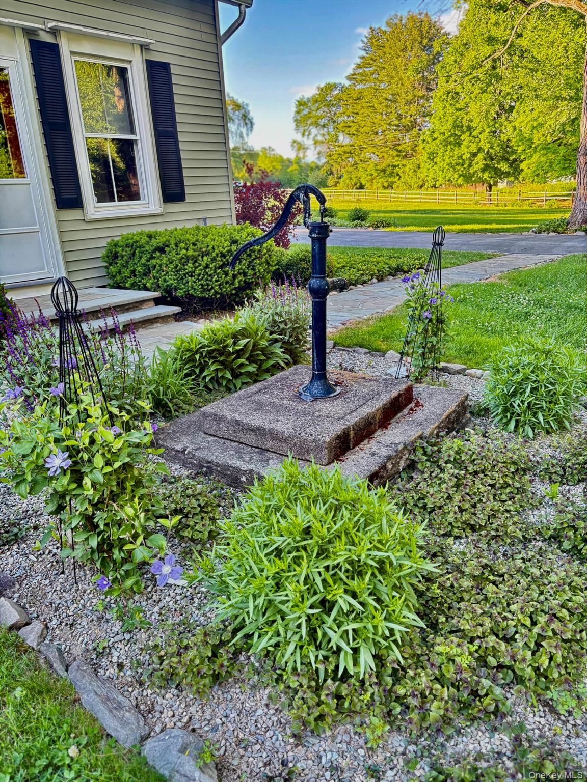Photo 43