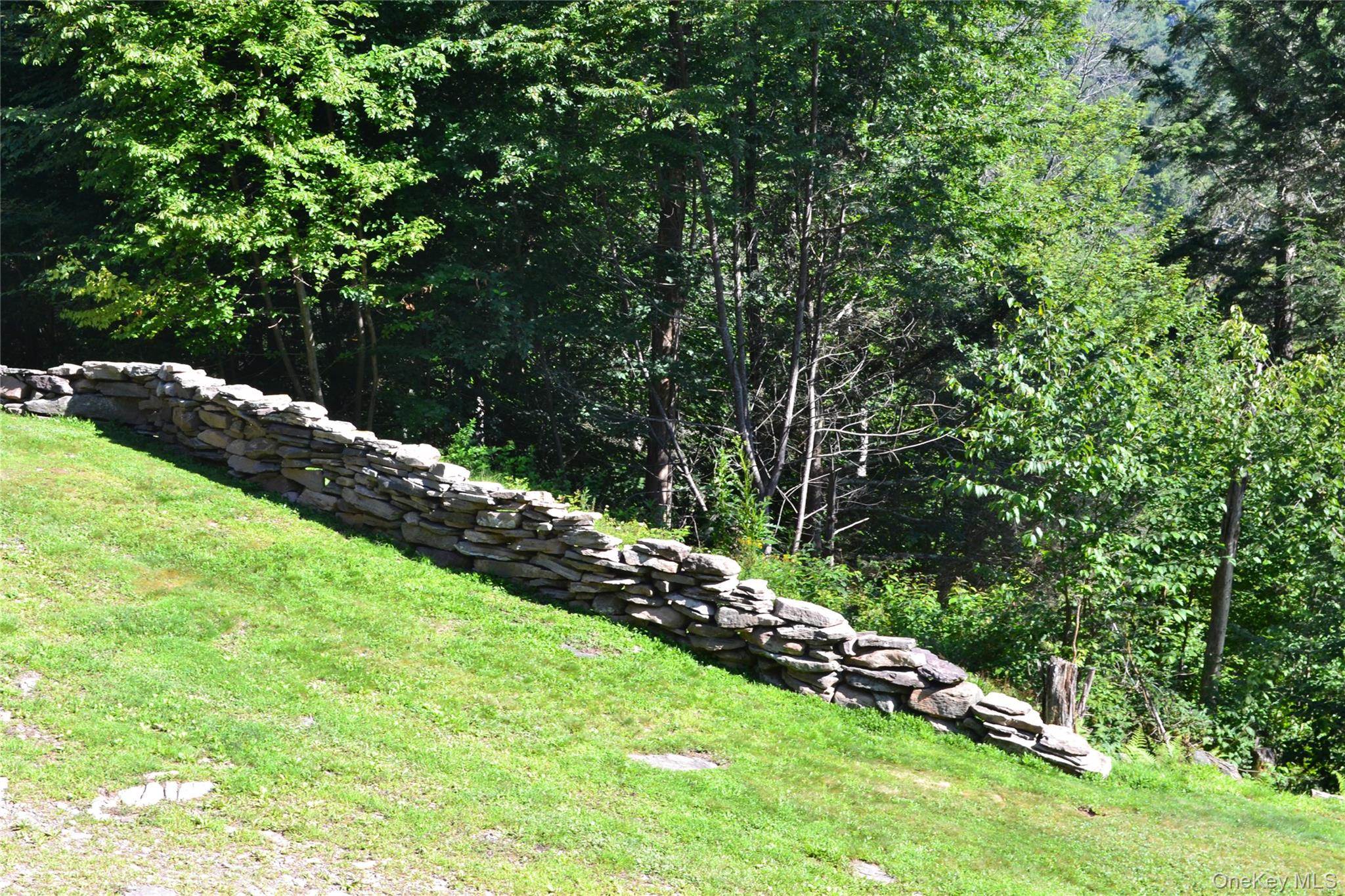 Photo 40