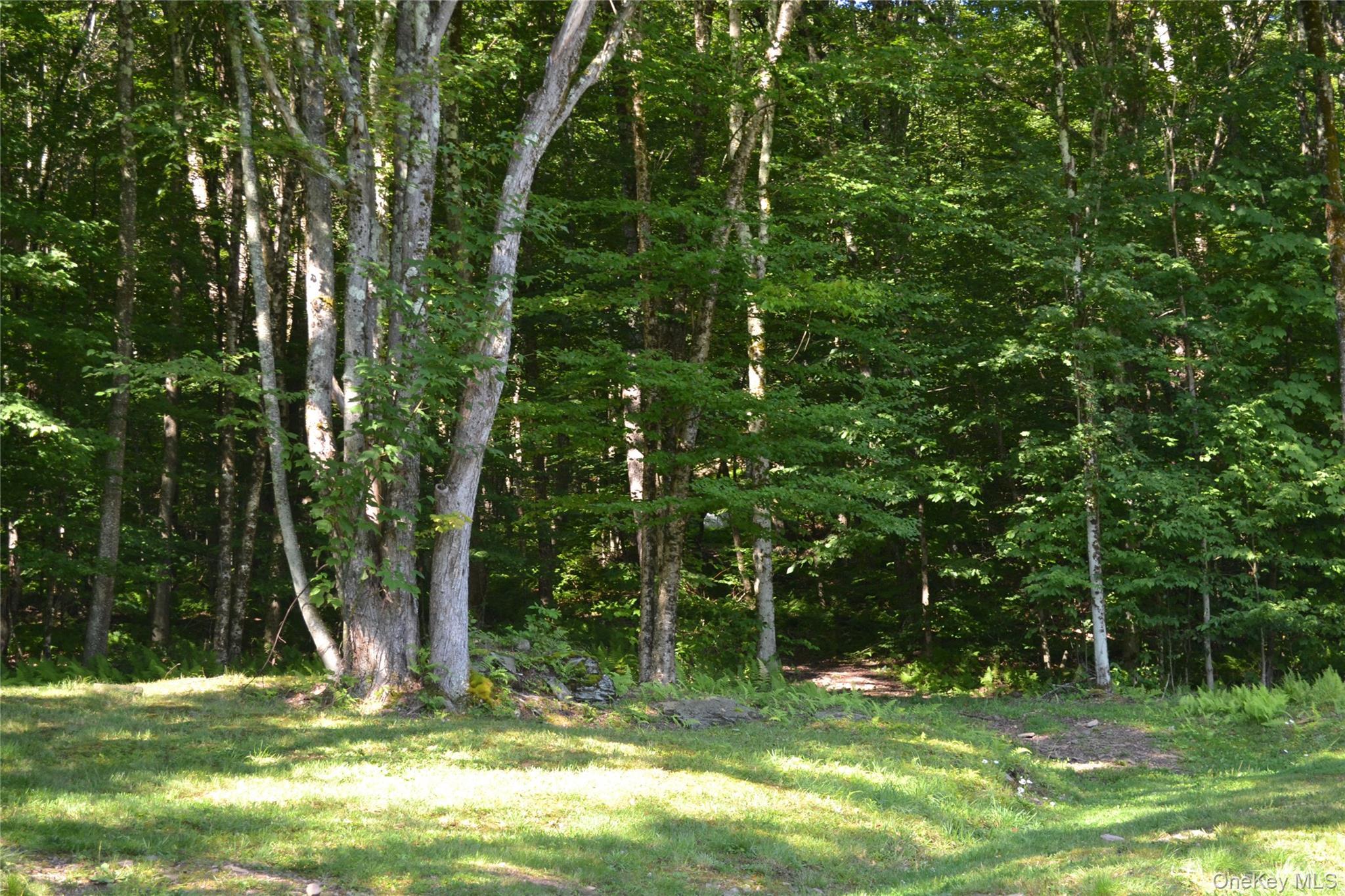 Photo 41