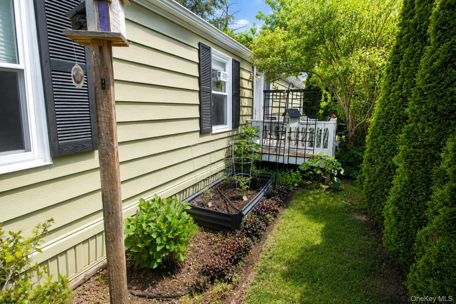 Photo 29