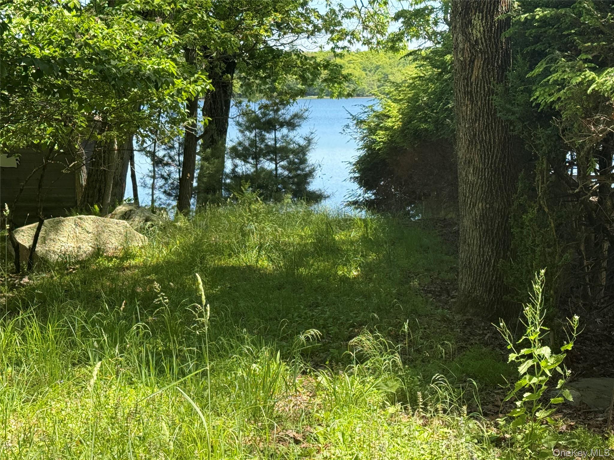 Photo 40