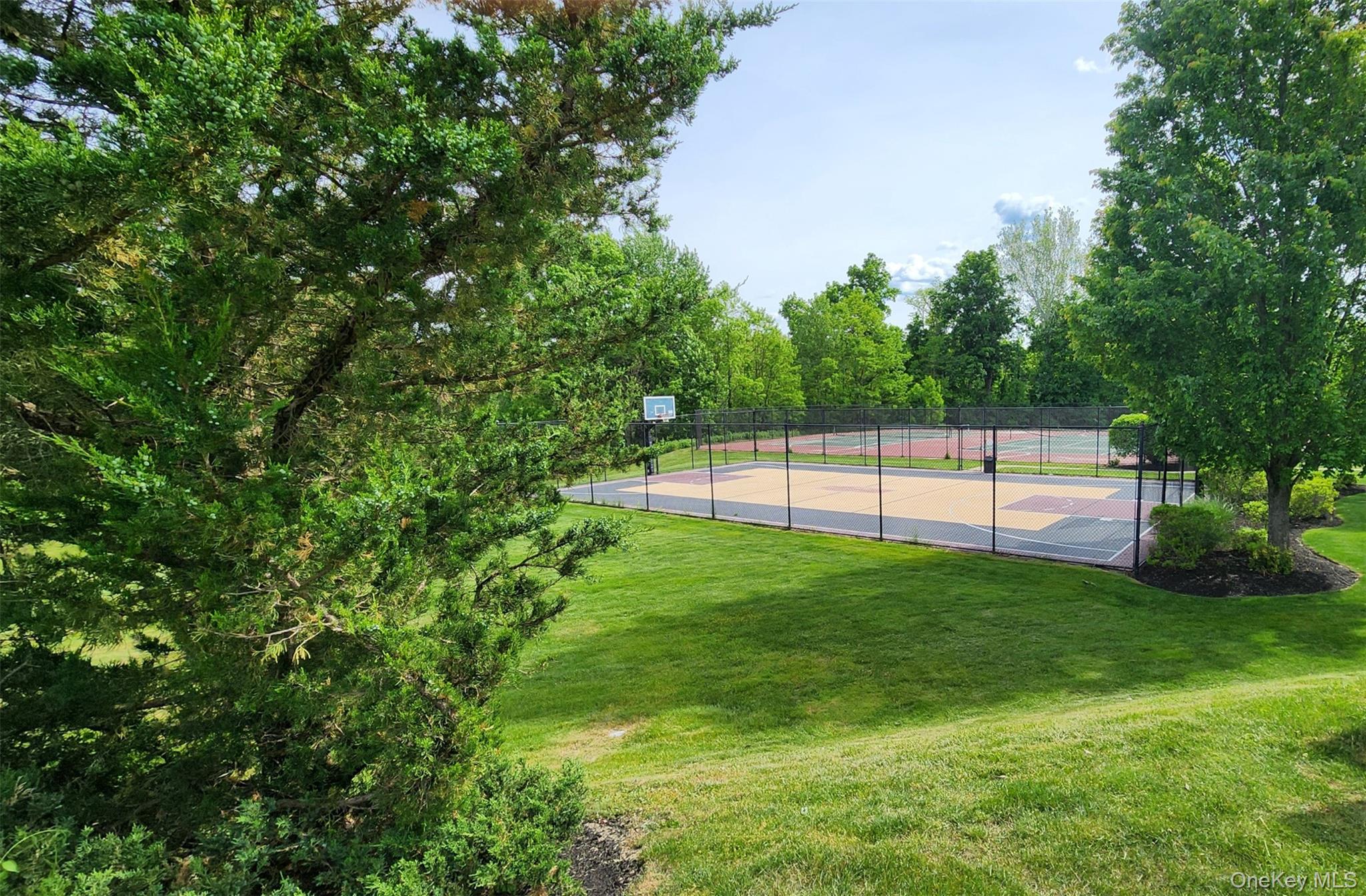 Basketball Court