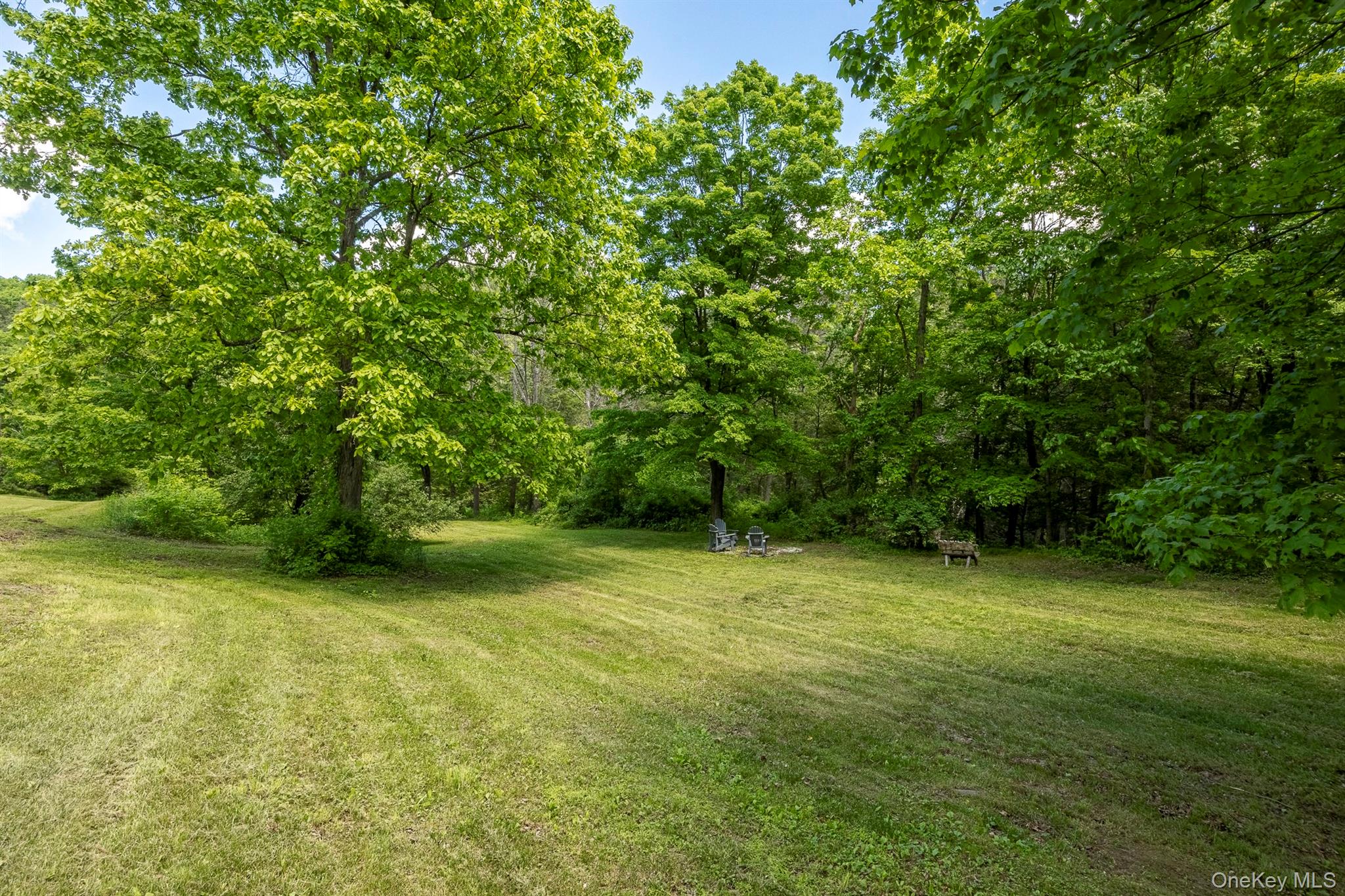 Yard