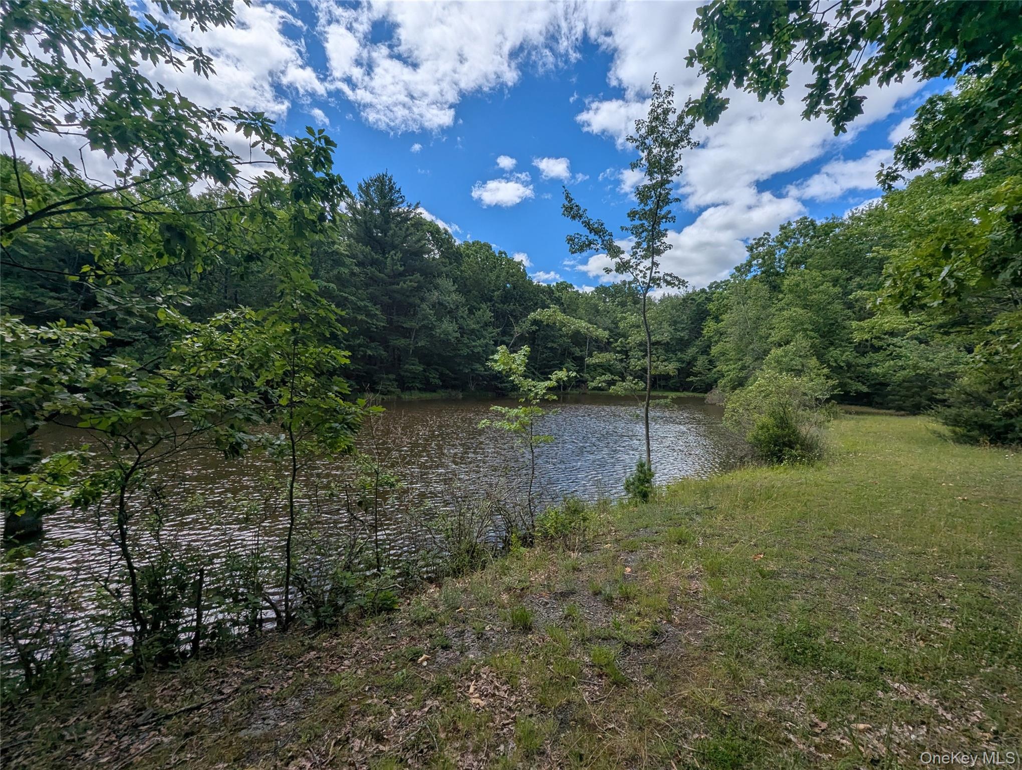 Pond