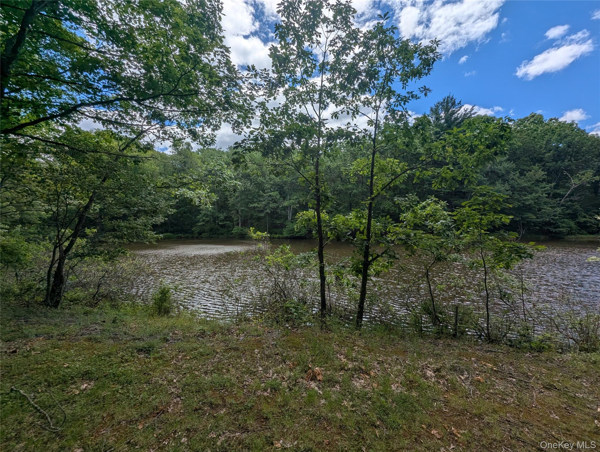 Pond