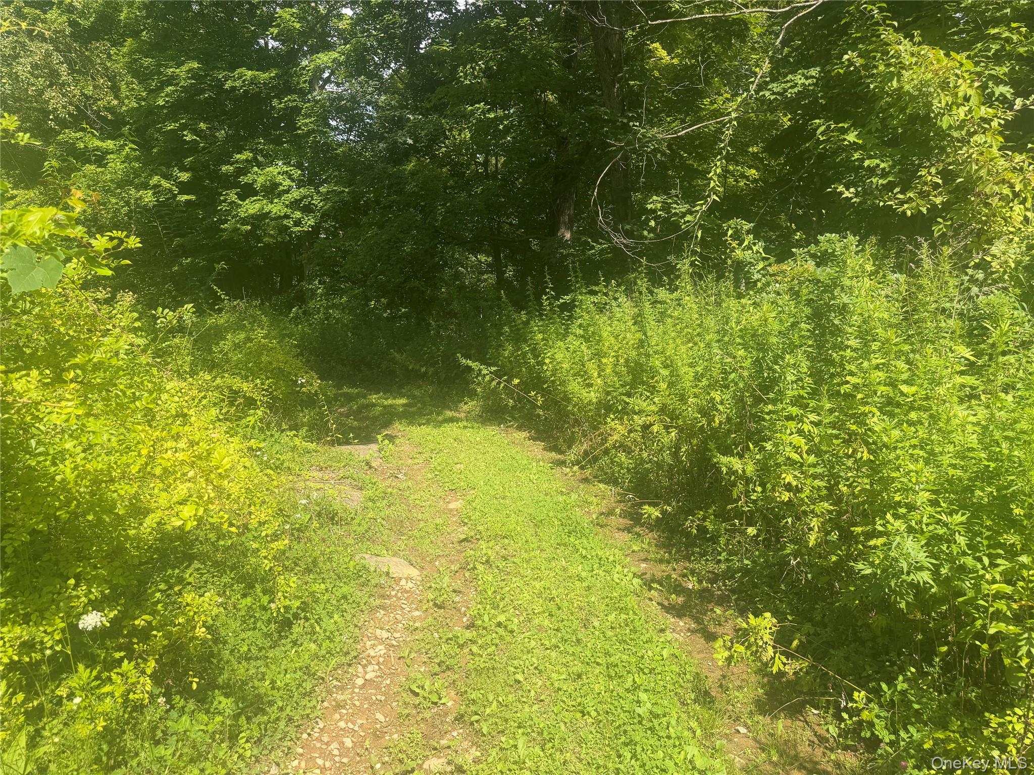 Photo 26