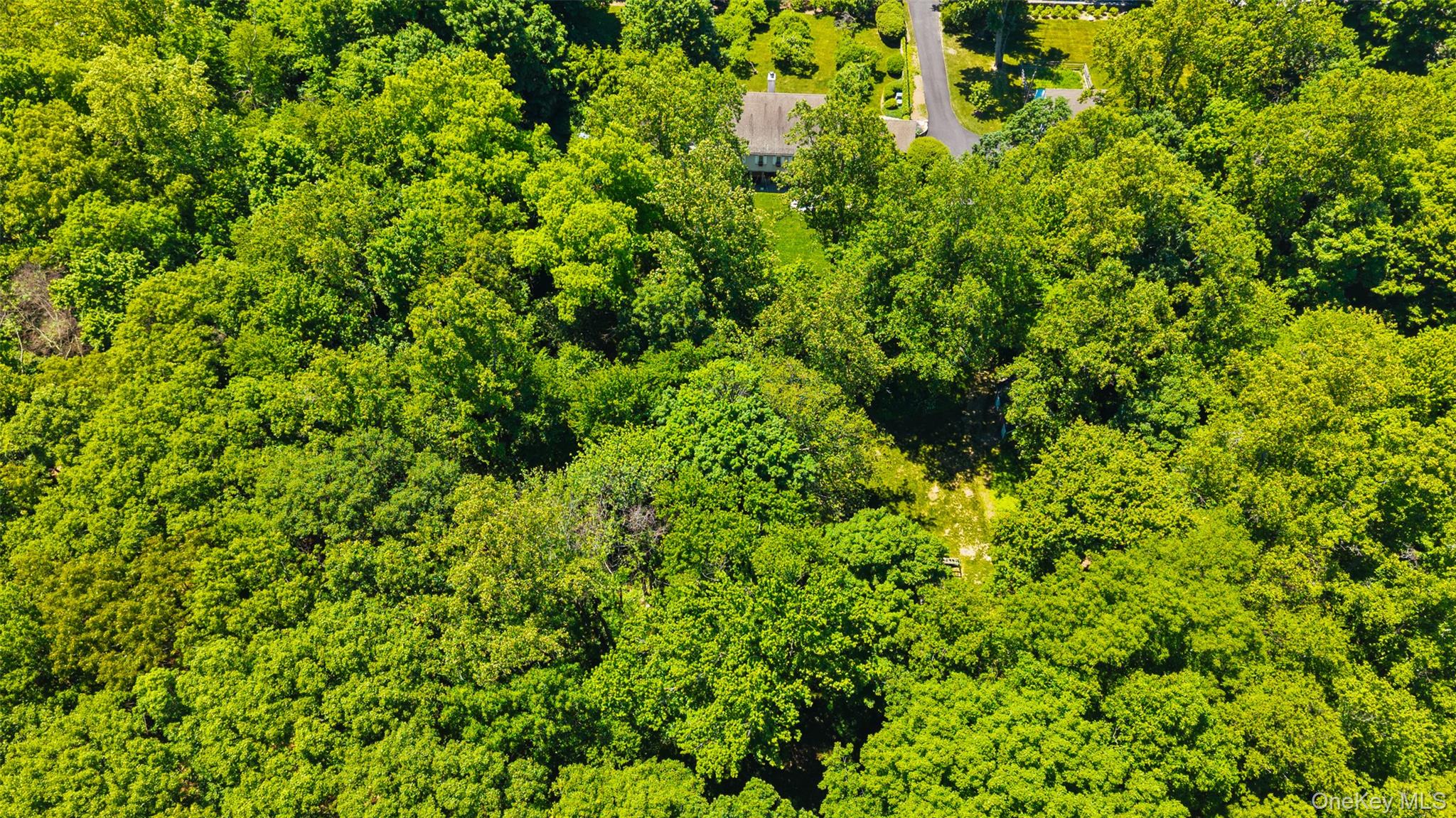 15A High Ridge Road