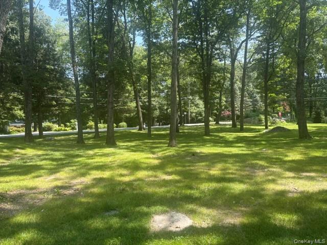 Yard