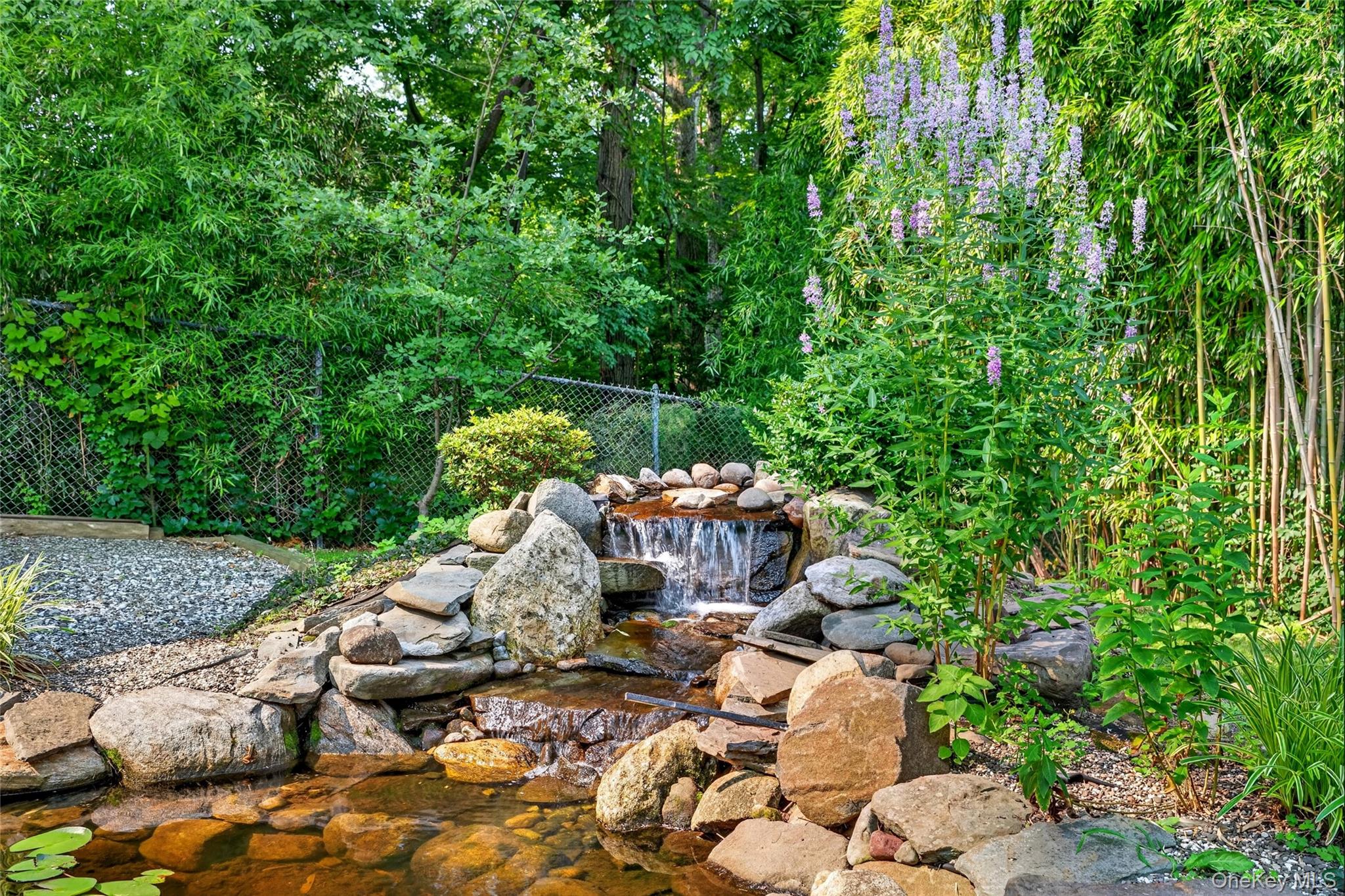 Pond