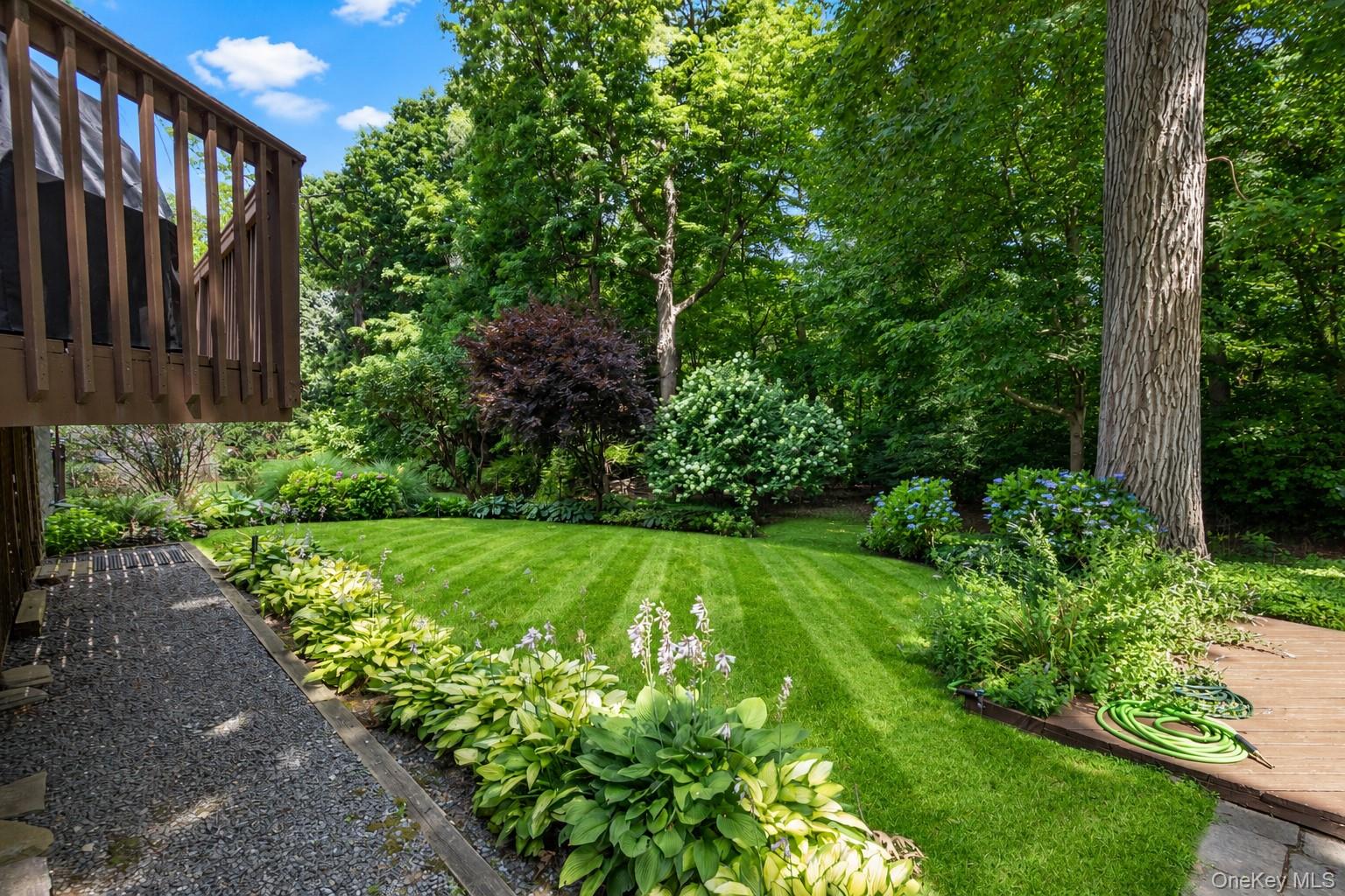 Yard