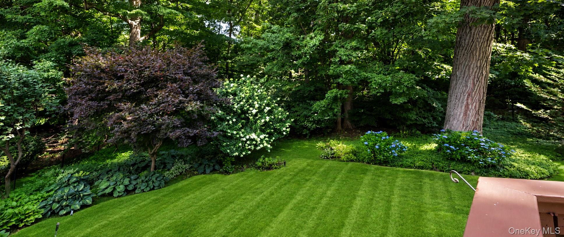 Yard