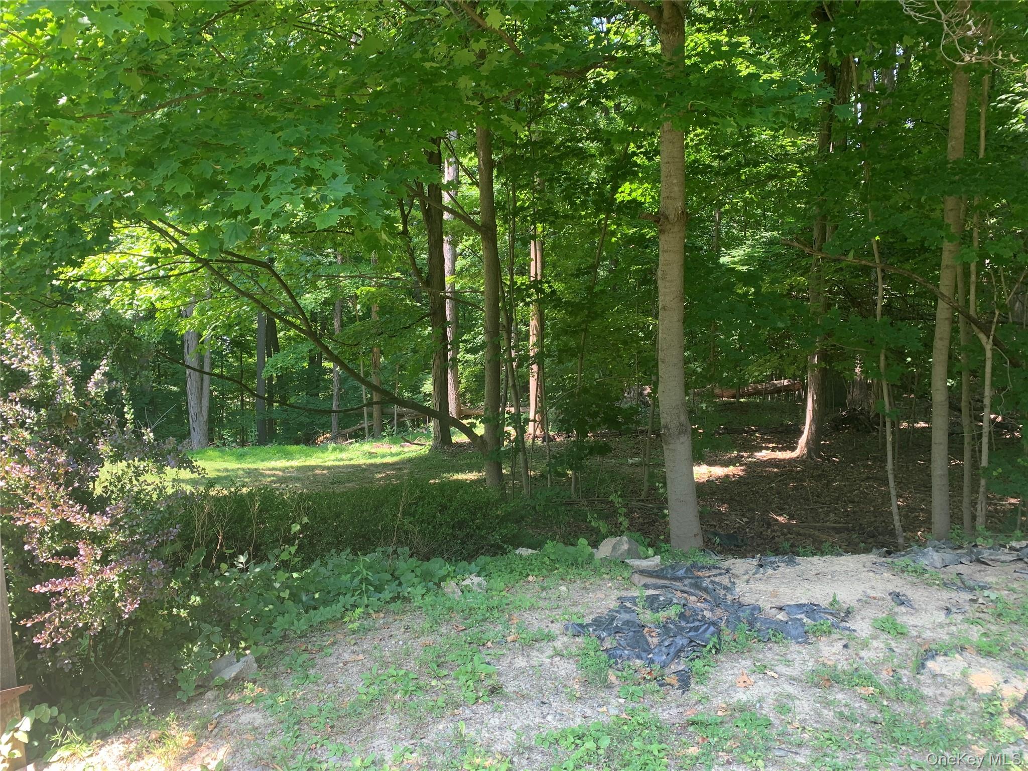 Photo 48