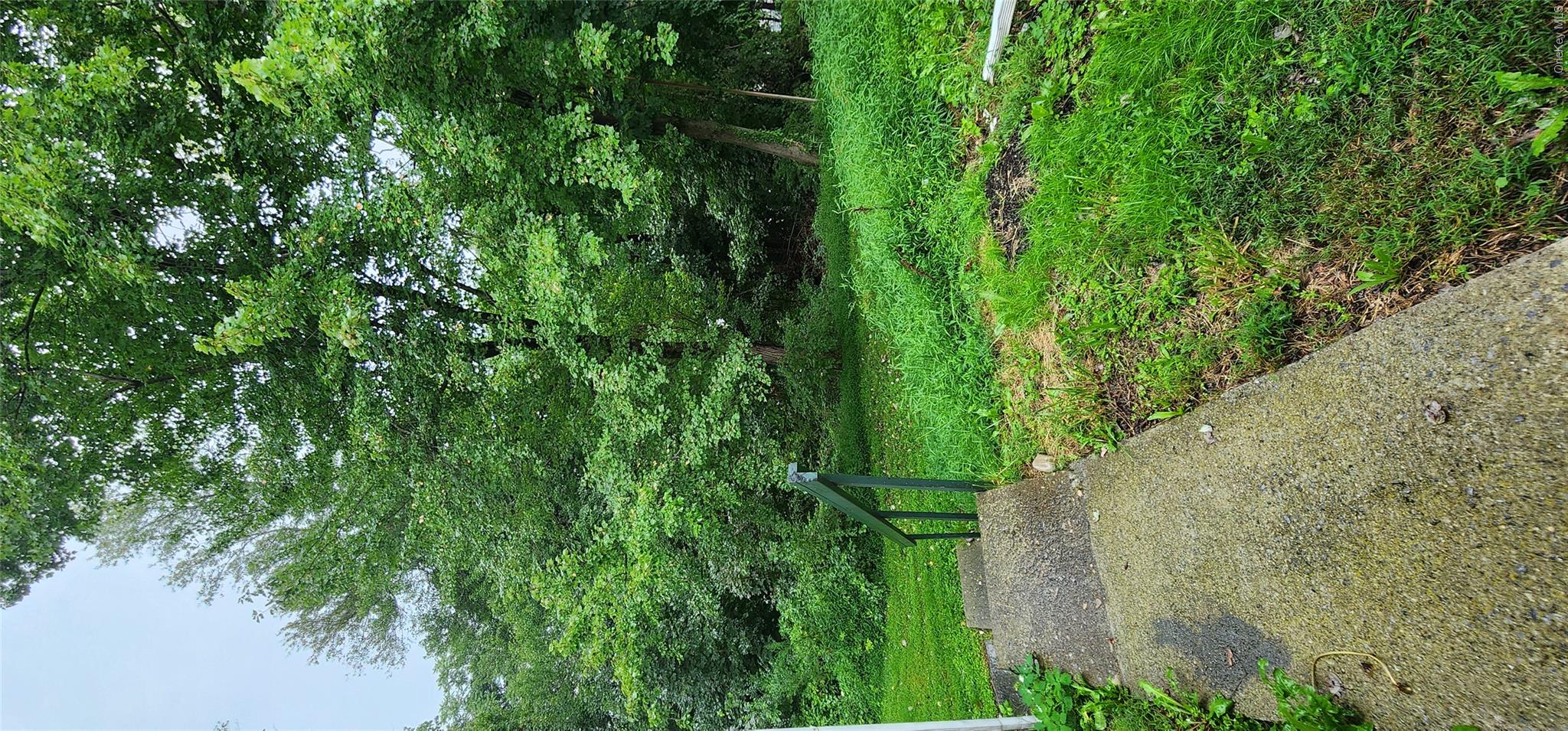 Photo 32