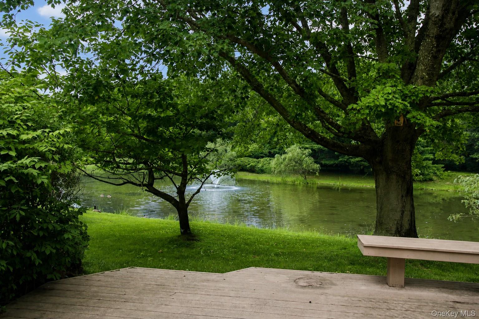 Deck