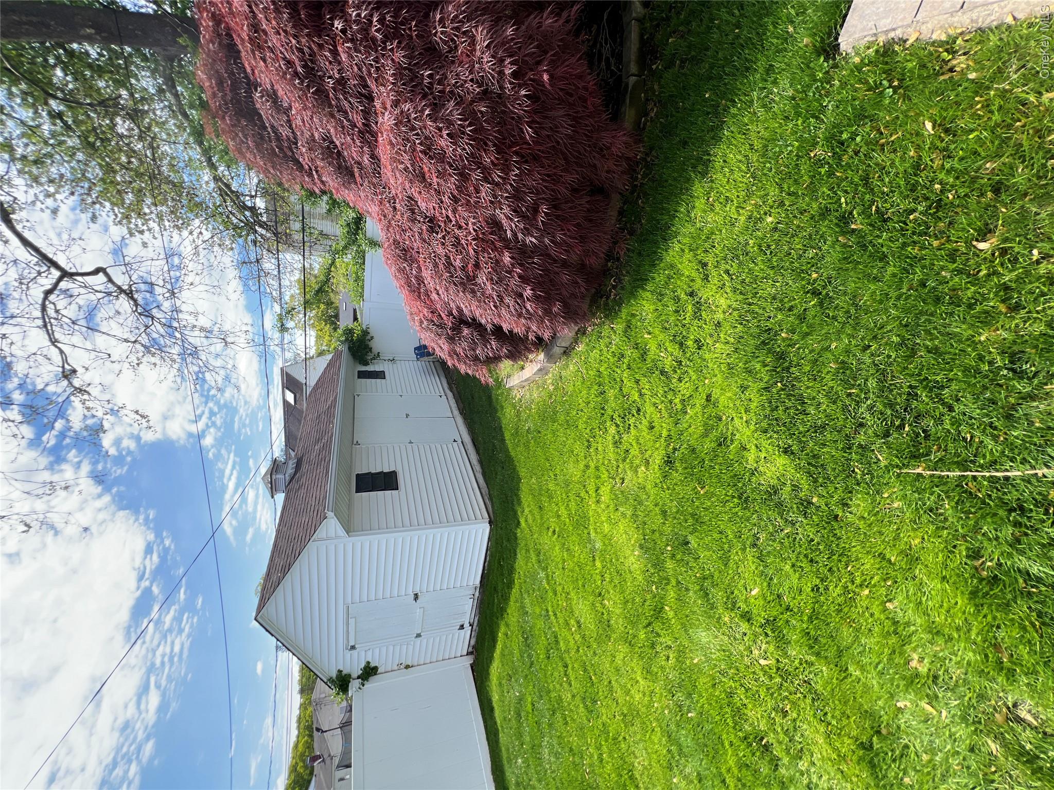 Yard