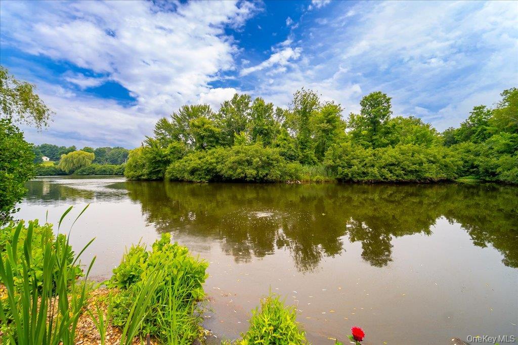 Pond