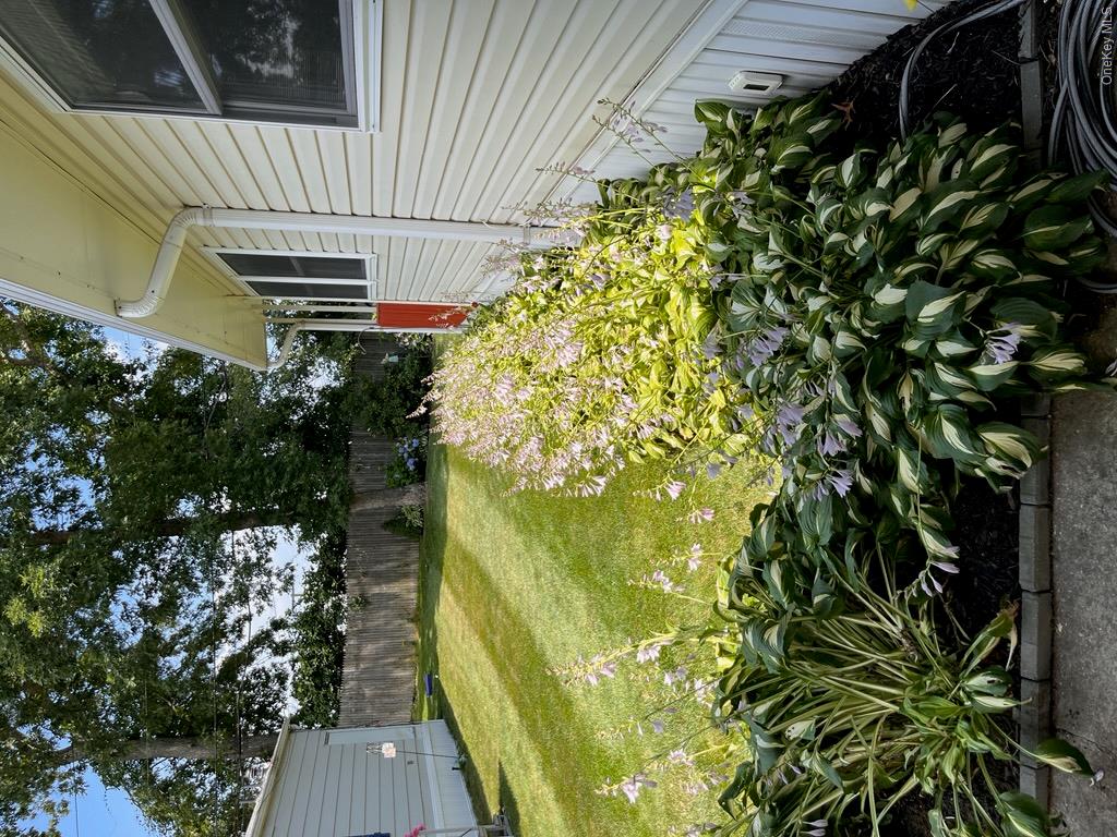 Photo 34
