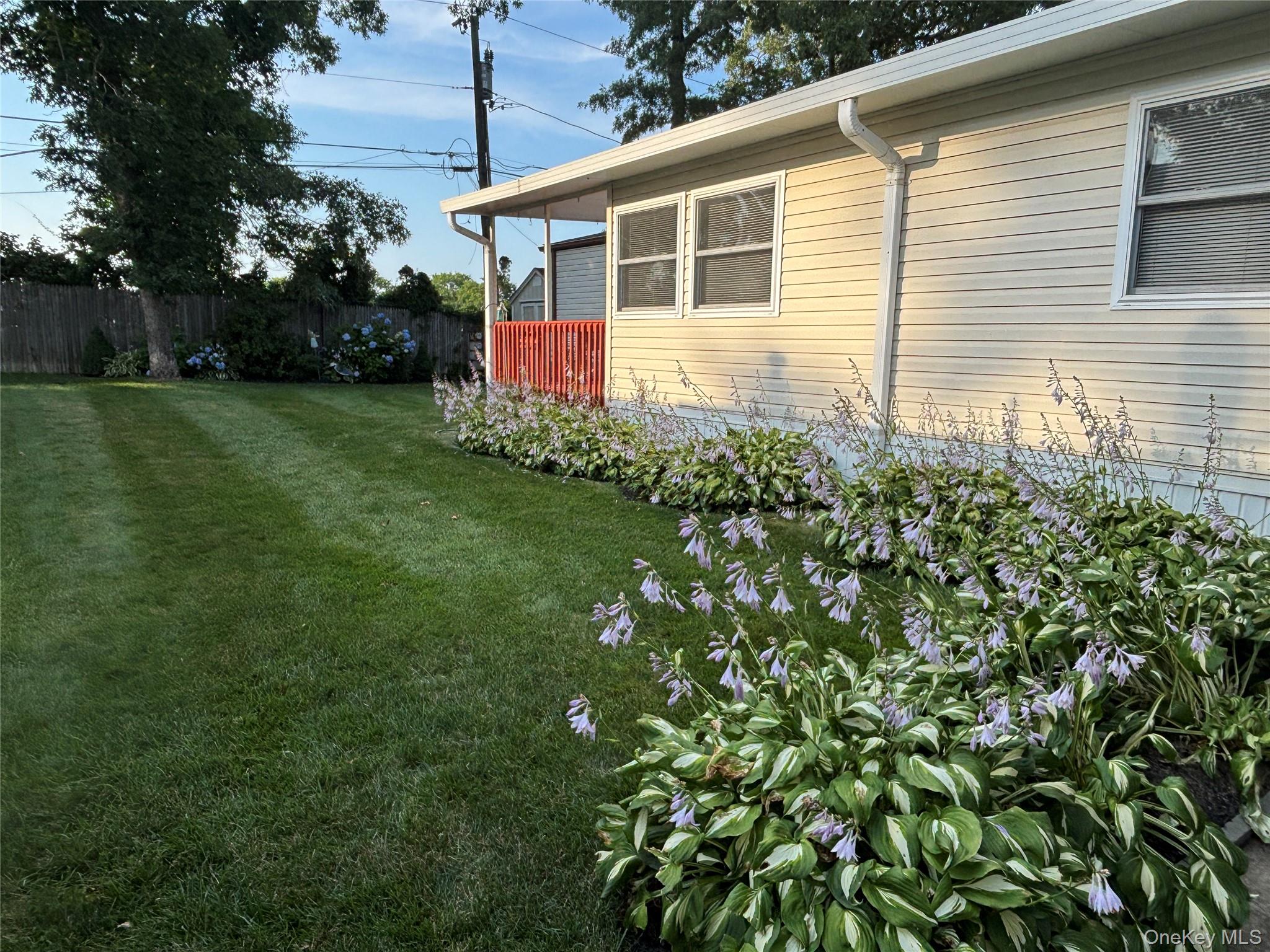 Photo 36