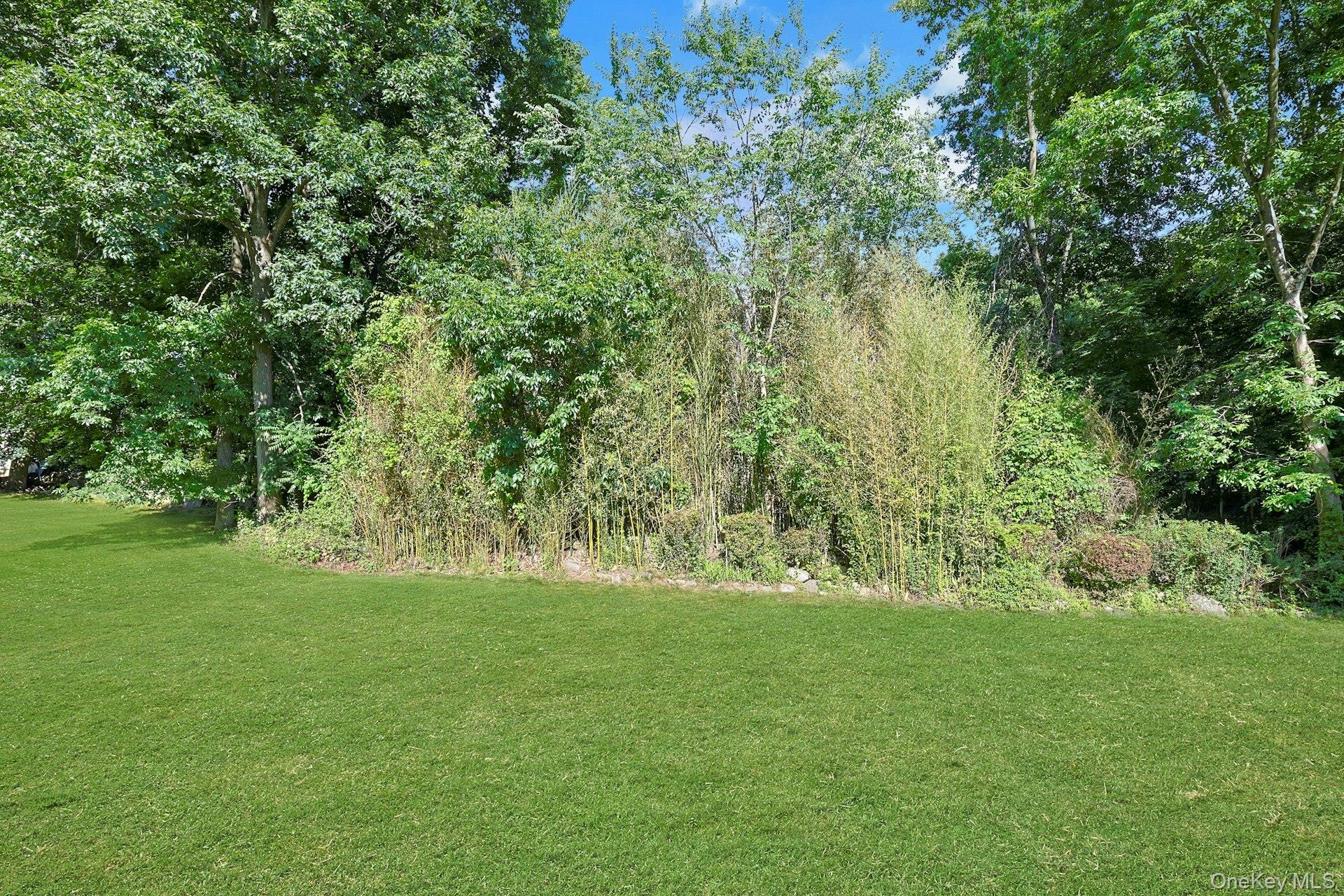 Yard