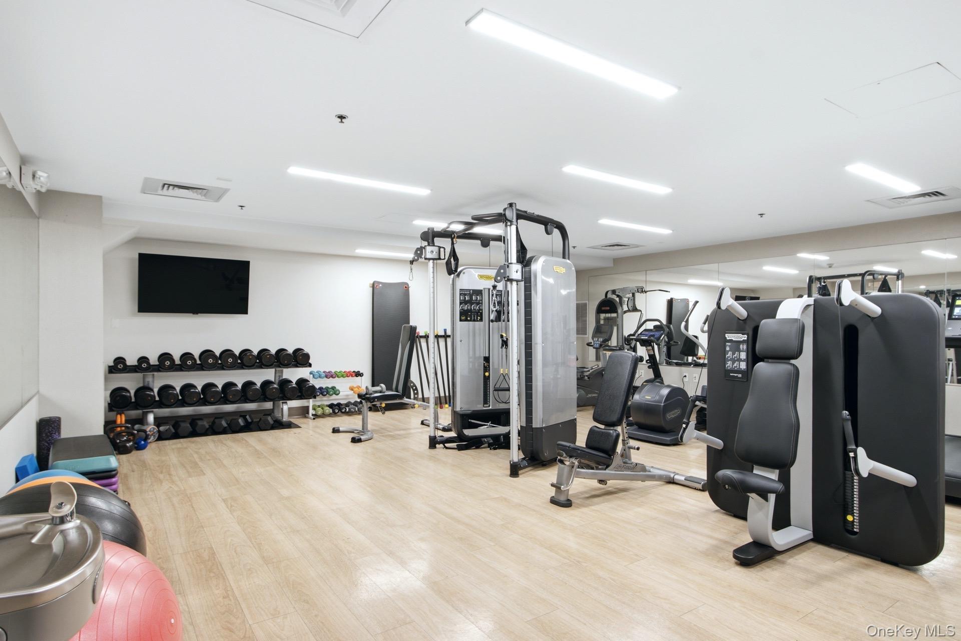 Gym